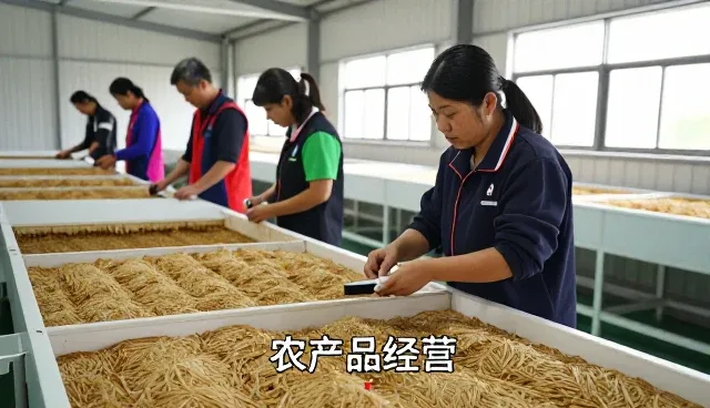 有机蔬菜套装:在品种选择在办公场所的应用要点
